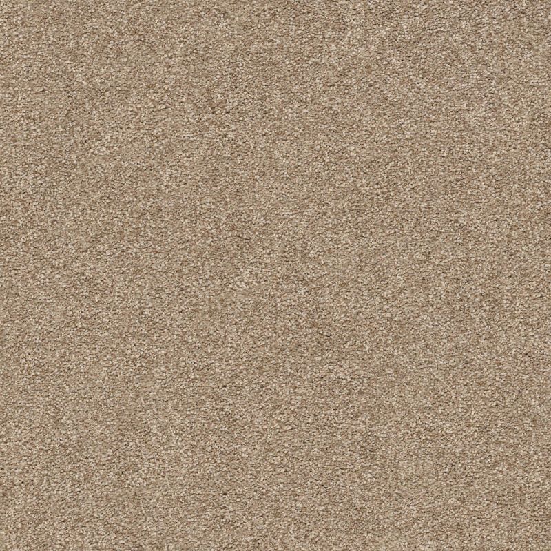 Shaw Floors Nfa/Apg Subtle Charm I Camping Trip (s)