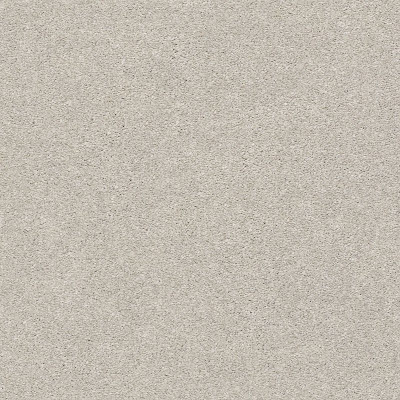 Shaw Floors Nfa/Apg Subtle Charm II Chill In The Air (s)