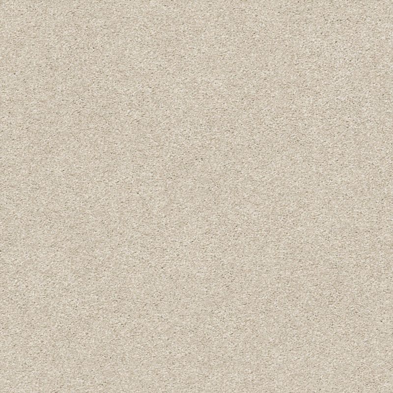 Shaw Floors Nfa/Apg Subtle Charm II Sand Castle (s)