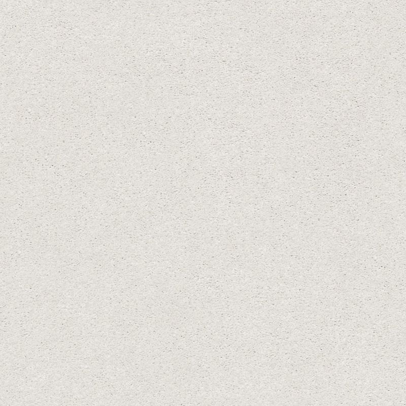 Shaw Floors Nfa/Apg Subtle Charm II Coming Home (s)