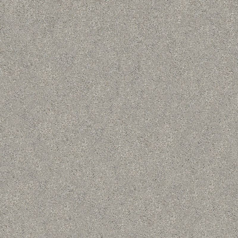 Shaw Floors Nfa/Apg Subtle Charm II Restful Day (s)
