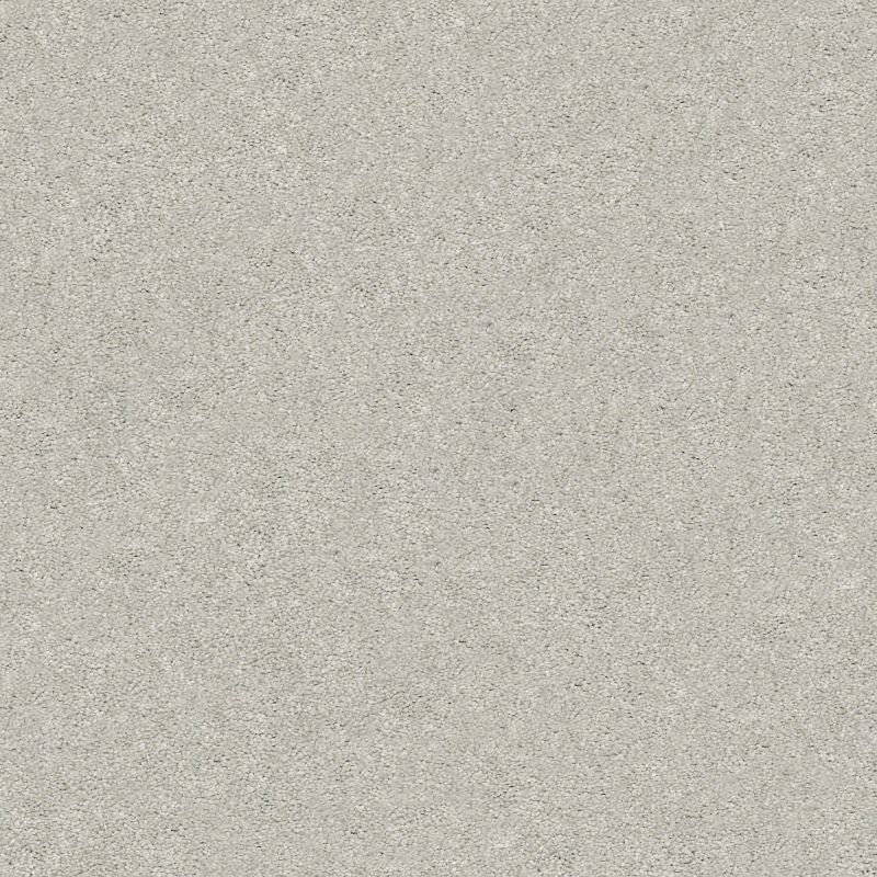 Shaw Floors Nfa/Apg Subtle Charm II Refreshed (s)