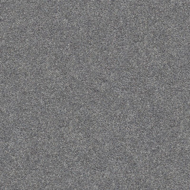 Shaw Floors Nfa/Apg Subtle Charm II Lighthouse Shadows (s)
