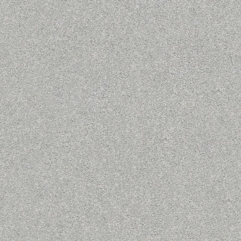 Shaw Floors Nfa/Apg Subtle Charm II Polished Silver (s)