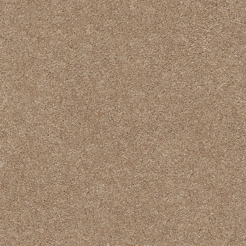 Shaw Floors Nfa/Apg Subtle Charm II Falling Leaves (s)