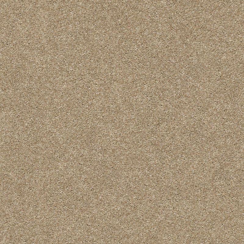 Shaw Floors Nfa/Apg Subtle Charm II Honey Tea (s)