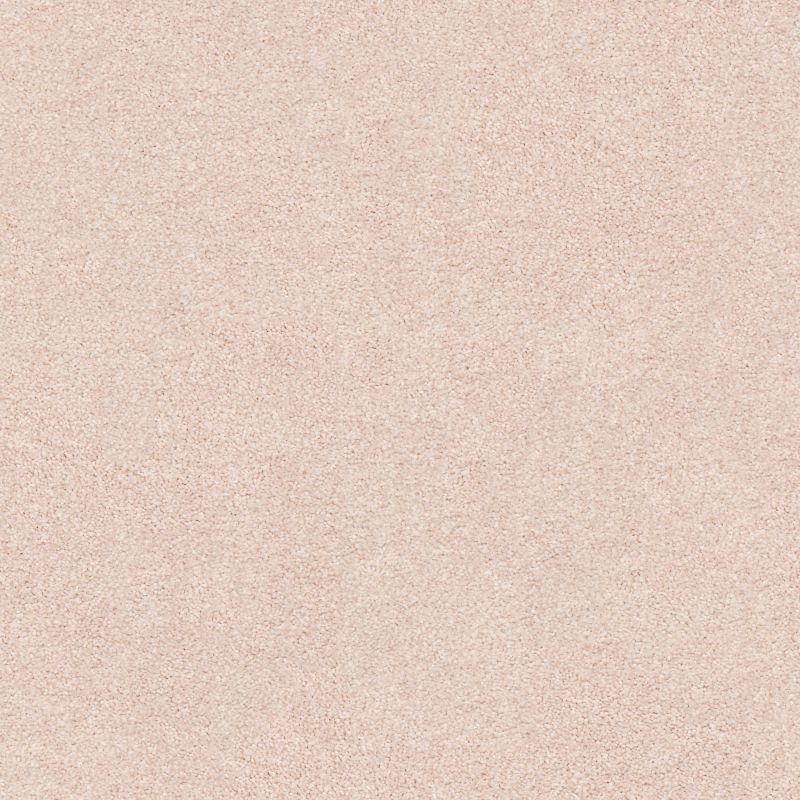 Shaw Floors Nfa/Apg Subtle Charm II Soft Lullaby (s)