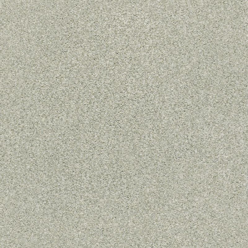 Shaw Floors Nfa/Apg Subtle Charm Tonal I Willow Tree (t)