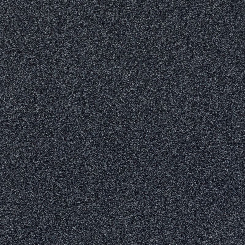 Shaw Floors Nfa/Apg Subtle Charm Tonal I Star Gazing (t)