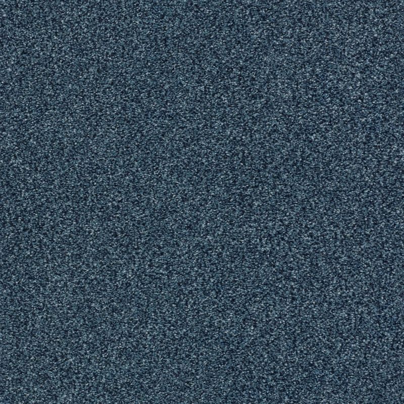 Shaw Floors Nfa/Apg Subtle Charm Tonal I Twilight Golf (t)