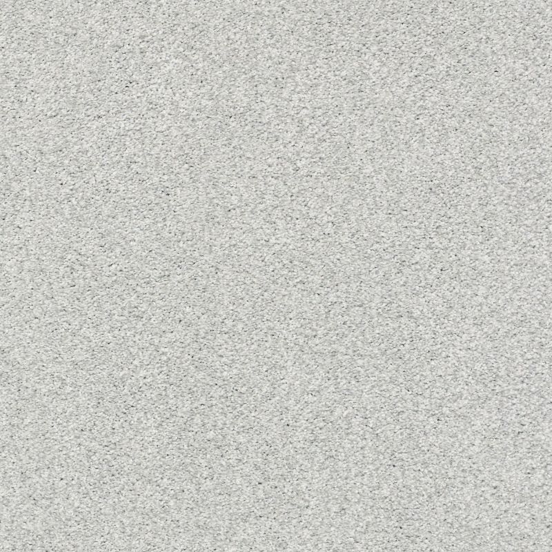 Shaw Floors Nfa/Apg Subtle Charm Tonal I Bay Waves (t)