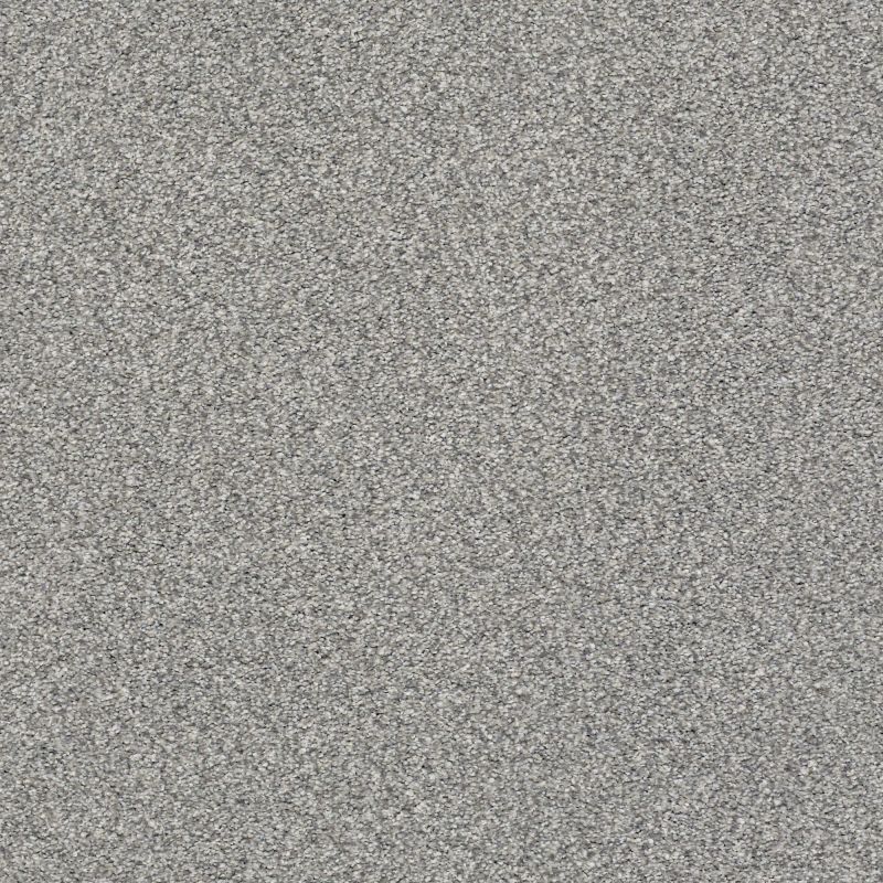 Shaw Floors Nfa/Apg Subtle Charm Tonal I Cool Breeze (t)