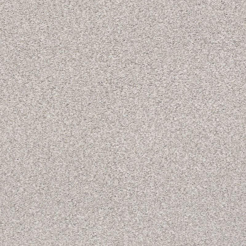 Shaw Floors Nfa/Apg Subtle Charm Tonal I Dreamy (t)