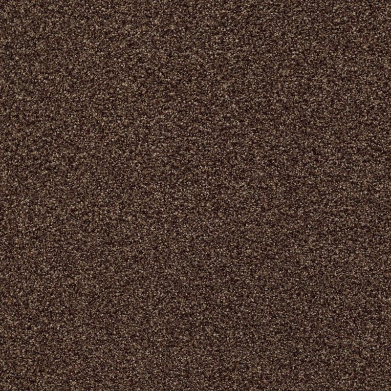 Shaw Floors Nfa/Apg Subtle Charm Tonal I Chocolate Treat (t)