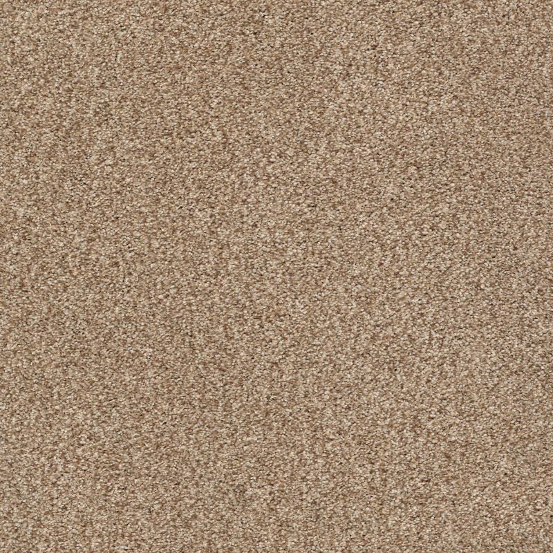 Shaw Floors Nfa/Apg Subtle Charm Tonal I Falling Leaves (t)