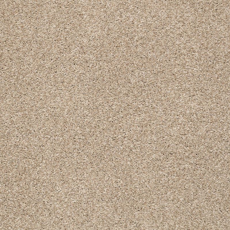 Shaw Floors Nfa/Apg Subtle Charm Tonal I Walk On The Beach (t)