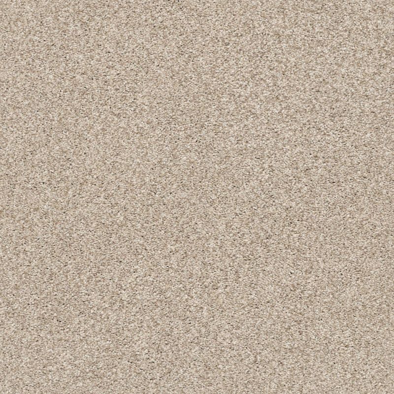 Shaw Floors Nfa/Apg Subtle Charm Tonal I My Haven (t)