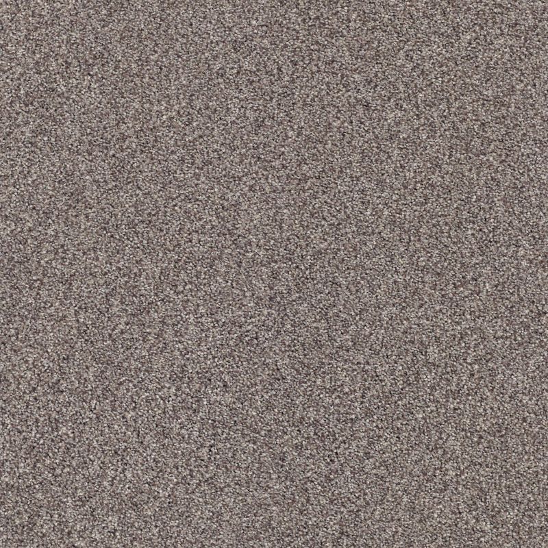 Shaw Floors Nfa/Apg Subtle Charm Tonal I Lilac Field (t)