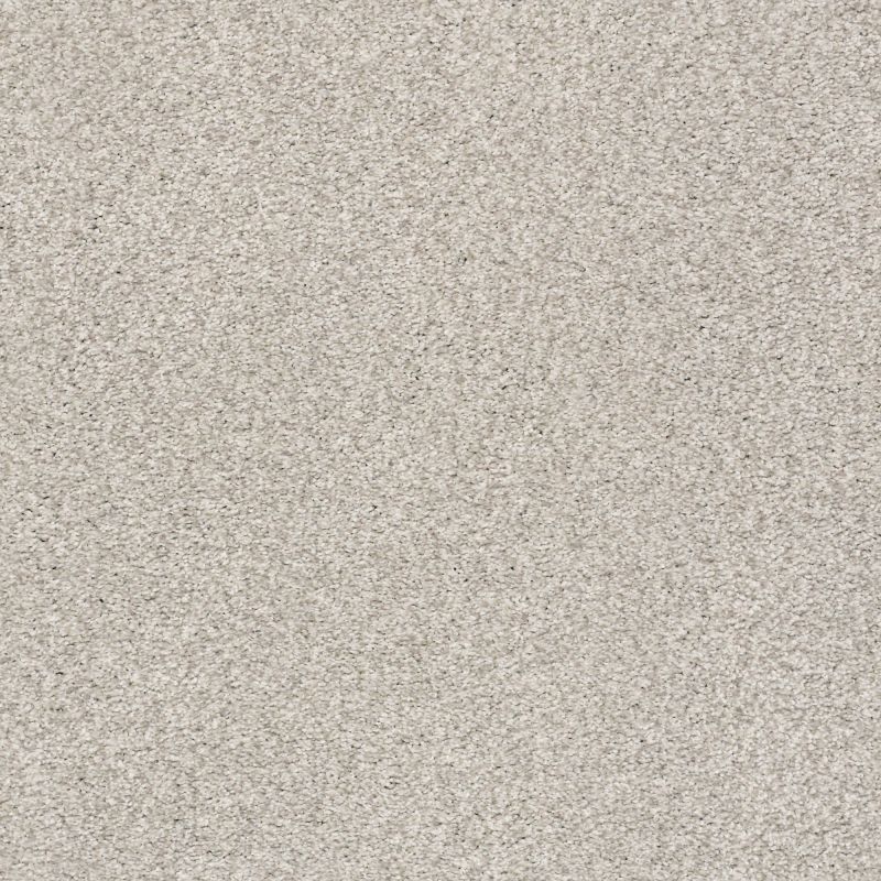 Shaw Floors Nfa/Apg Subtle Charm Tonal II Chill In The Air (t)