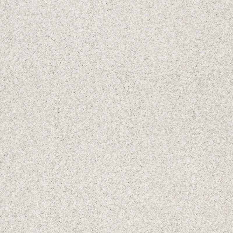 Shaw Floors Nfa/Apg Subtle Charm Tonal II Coming Home (t)