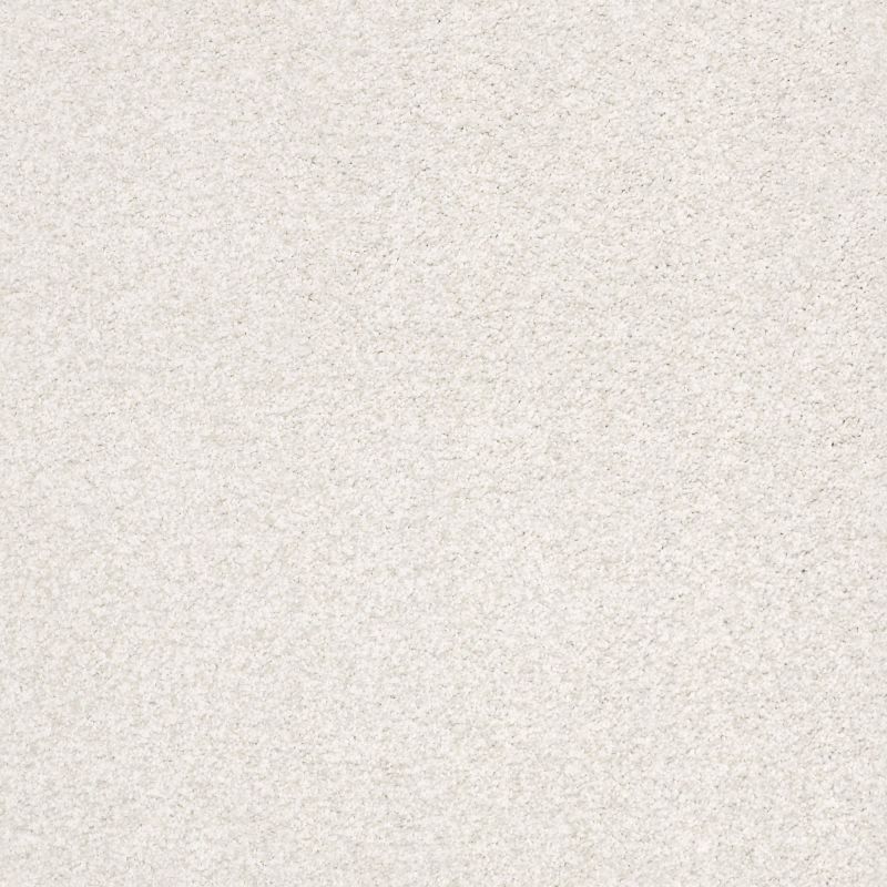 Shaw Floors Nfa/Apg Subtle Charm Tonal II Neighborhood Bistro (t)