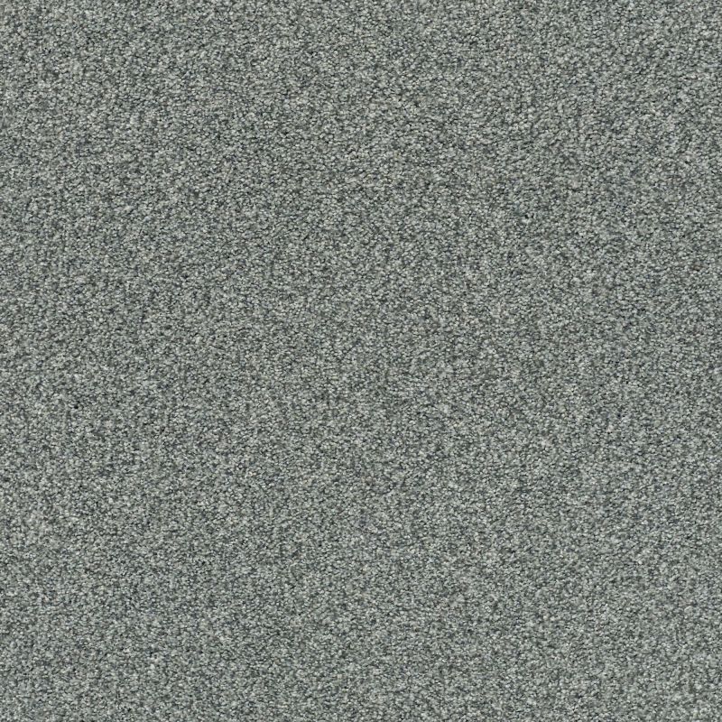 Shaw Floors Nfa/Apg Subtle Charm Tonal II Cottage Garden (t)