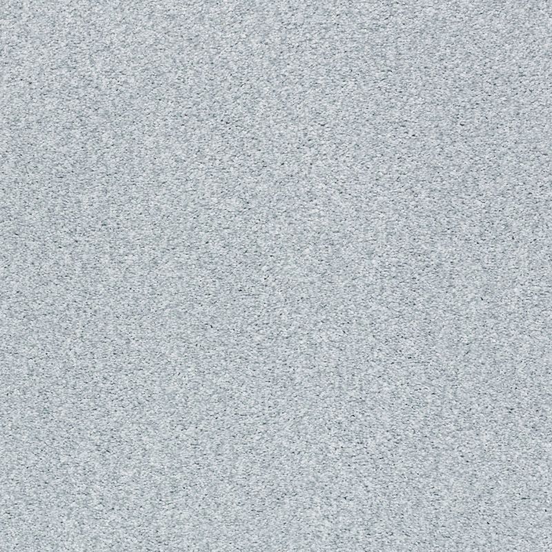 Shaw Floors Nfa/Apg Subtle Charm Tonal II Winter Sky (t)