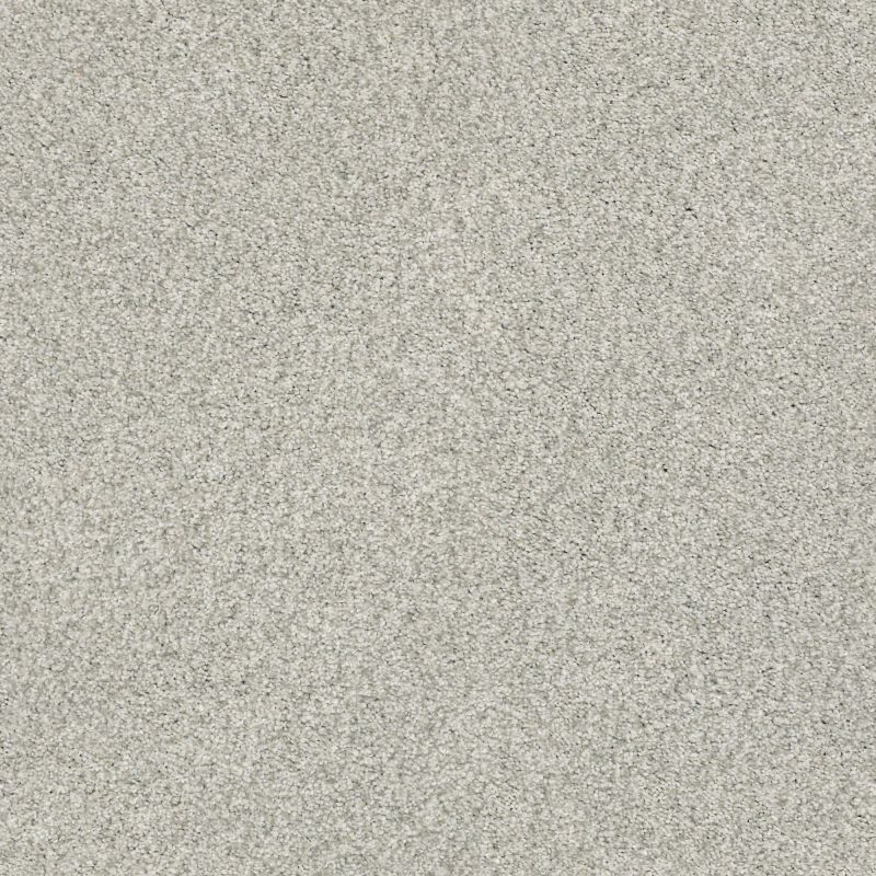 Shaw Floors Nfa/Apg Subtle Charm Tonal II Refreshed (t)