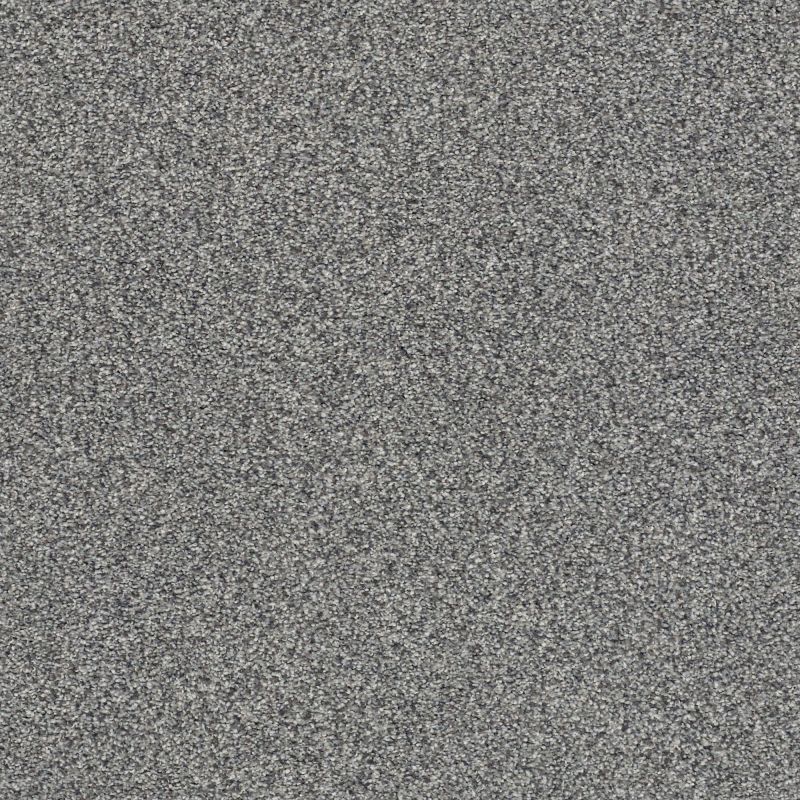 Shaw Floors Nfa/Apg Subtle Charm Tonal II Lighthouse Shadows (t)