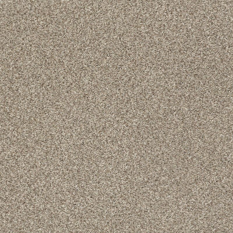 Shaw Floors Nfa/Apg Subtle Charm Tonal II Dockside View (t)