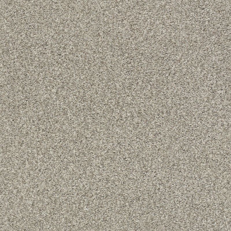 Shaw Floors Nfa/Apg Subtle Charm Tonal II Back Patio (t)