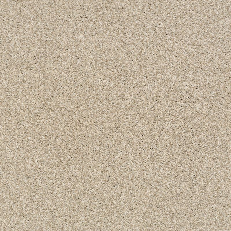 Shaw Floors Nfa/Apg Subtle Charm Tonal II Dinner With Friends (t)