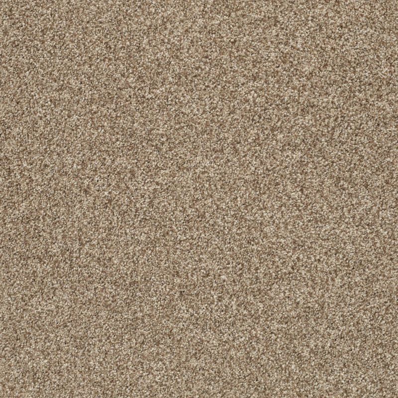 Shaw Floors Nfa/Apg Subtle Charm Tonal II Camping Trip (t)