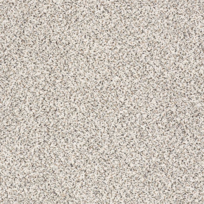 Shaw Floors Nfa/Apg Subtle Charm Accent I Front Row Seat (a)