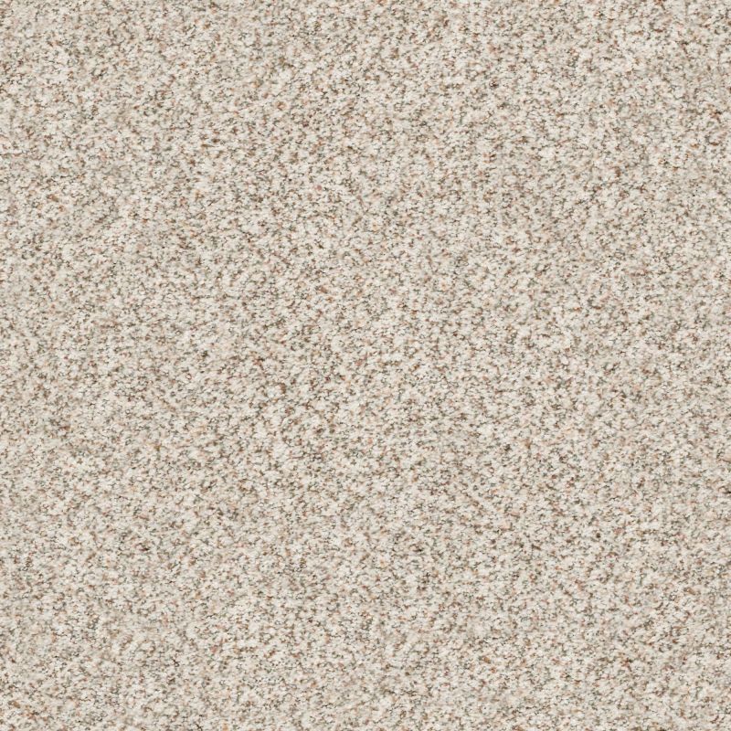 Shaw Floors Nfa/Apg Subtle Charm Accent I New Perspective (a)