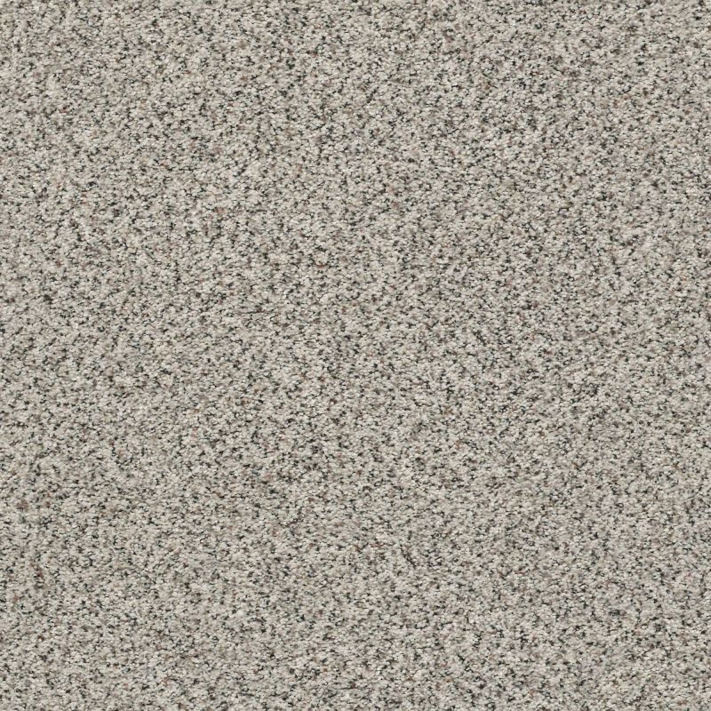 Shaw Floors Nfa/Apg Subtle Charm Accent I Cocktail Hour (a)