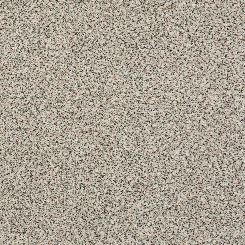 Shaw Floors Nfa/Apg Subtle Charm Accent II First Dance (a)