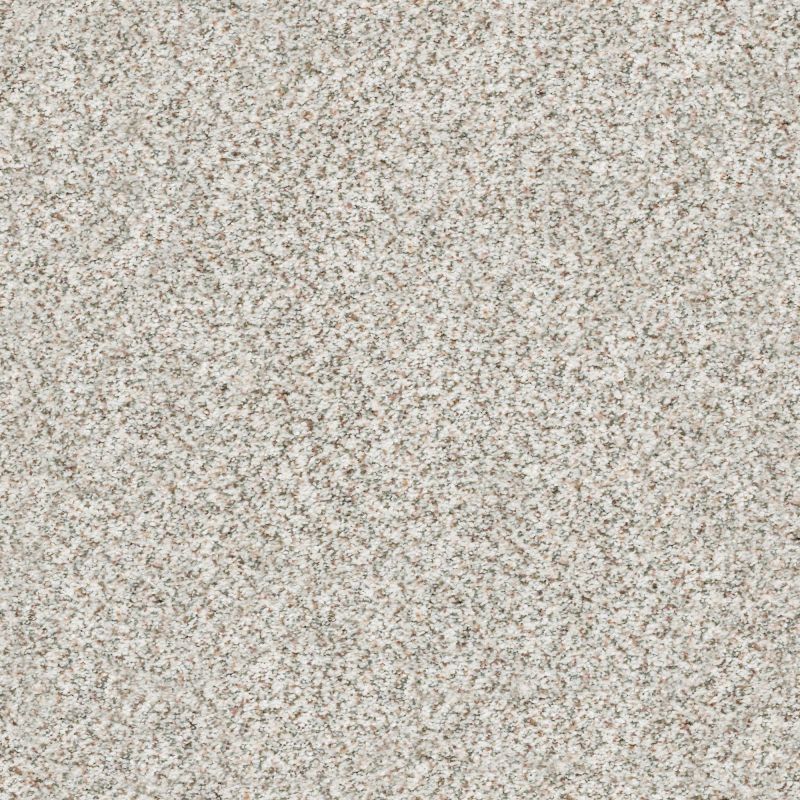 Shaw Floors Nfa/Apg Subtle Charm Accent II New Perspective (a)