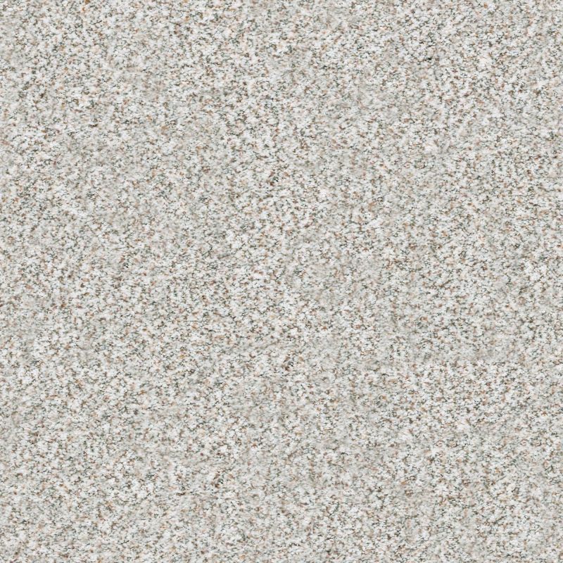 Shaw Floors Nfa/Apg Subtle Charm Accent II Let's Go Karaoke (a)