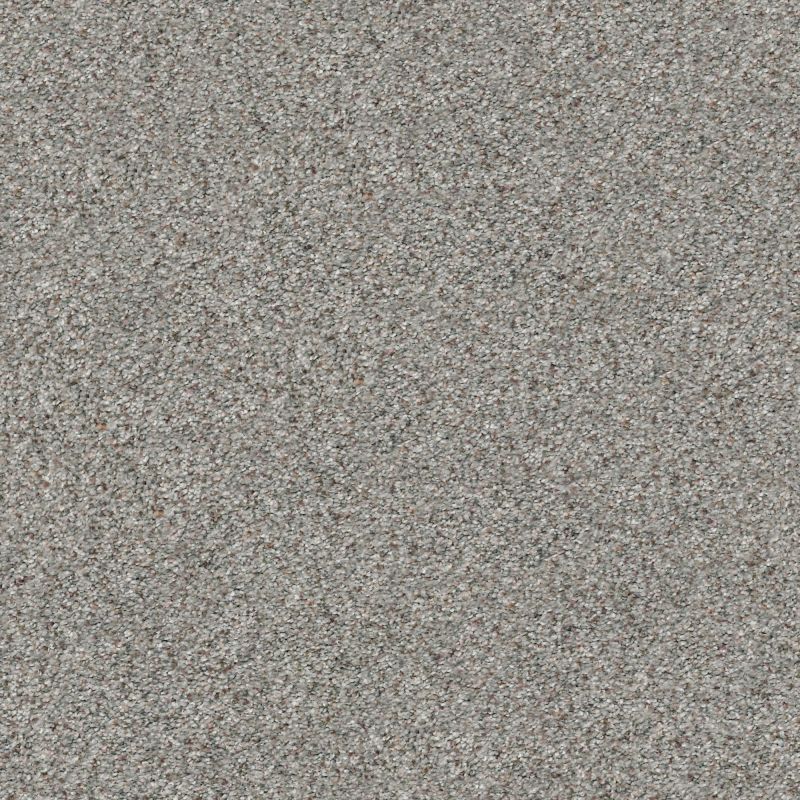 Shaw Floors Nfa/Apg Subtle Charm Accent II Long Bridge (a)