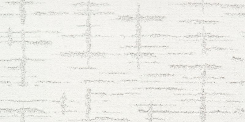 Shaw Floors Nfa/Apg Refined Affect Purity