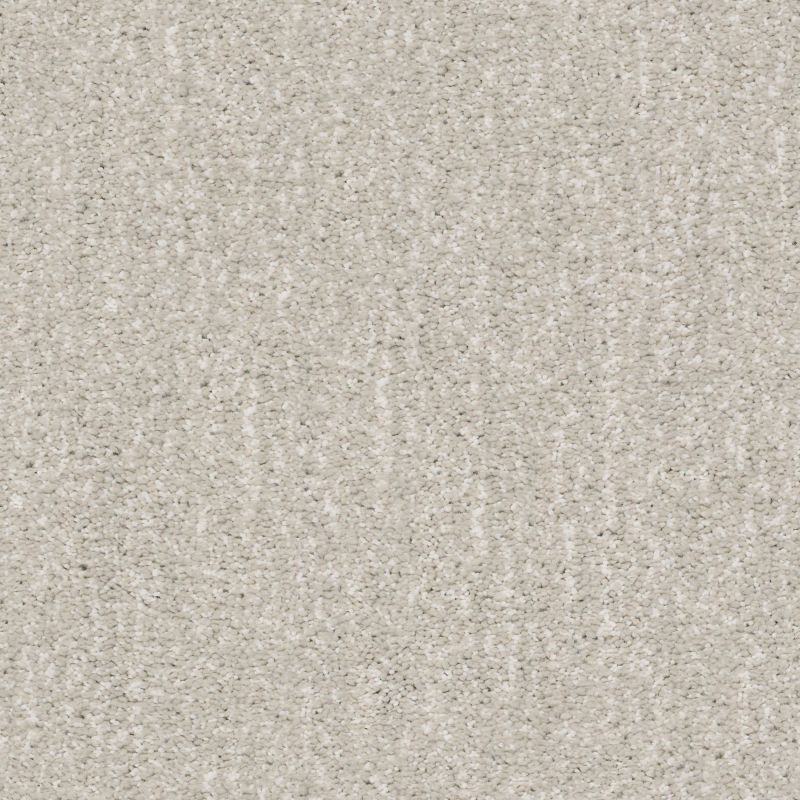 Shaw Floors Nfa/Apg Elation Mist