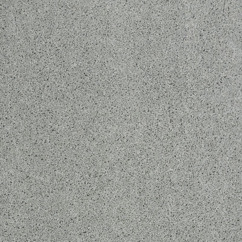 Shaw Floors Nfa/Apg Phenomenal Drizzle