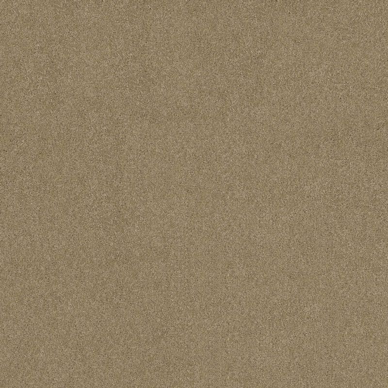 Shaw Floors Nfa/Apg Phenomenal Prairie