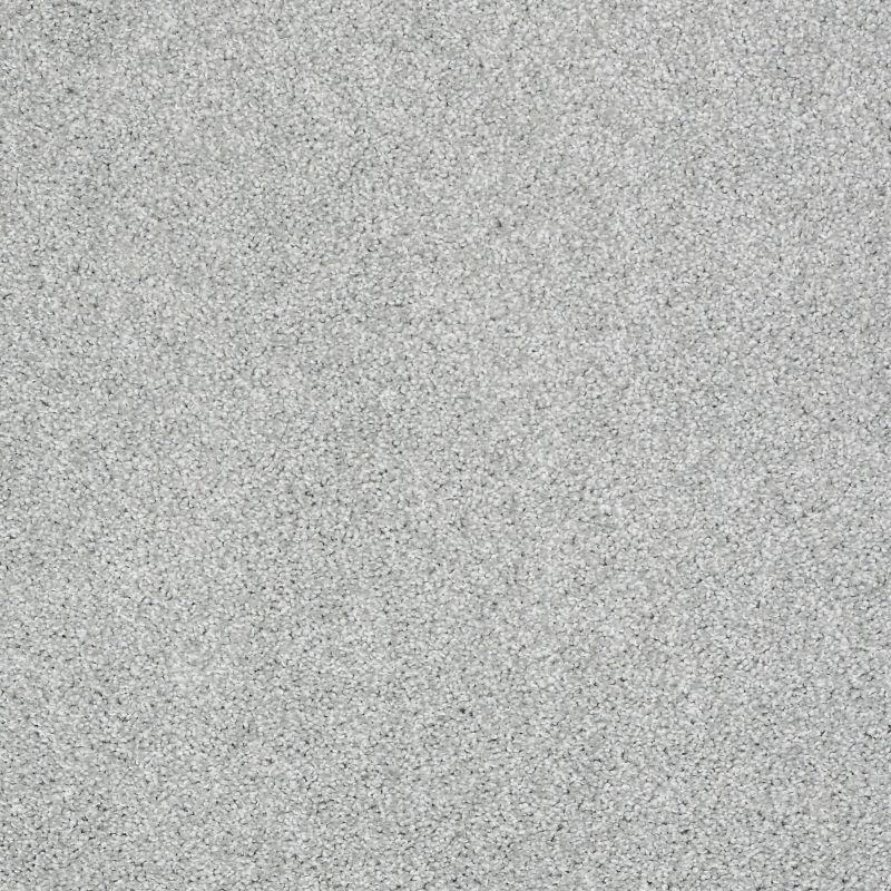 Shaw Floors Nfa/Apg Uncomplicated Drizzle