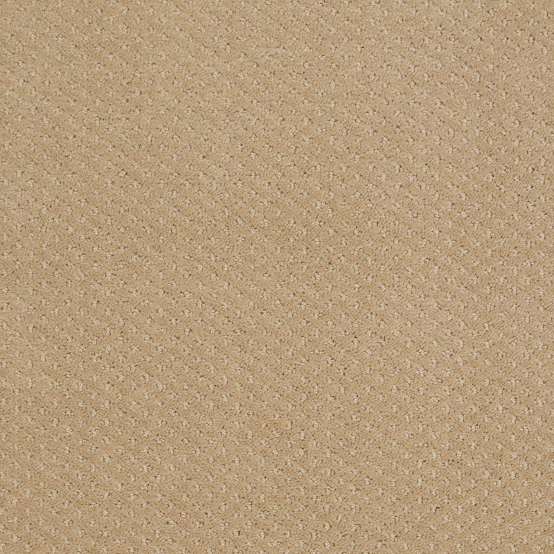 Shaw Floors Nfa/Apg Meaningful Design Natural Wood