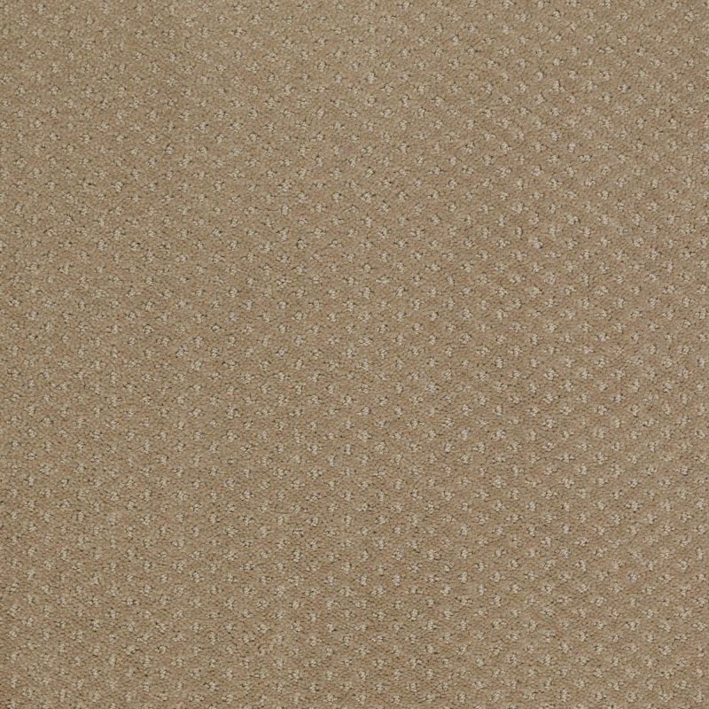 Shaw Floors Nfa/Apg Meaningful Design Prairie