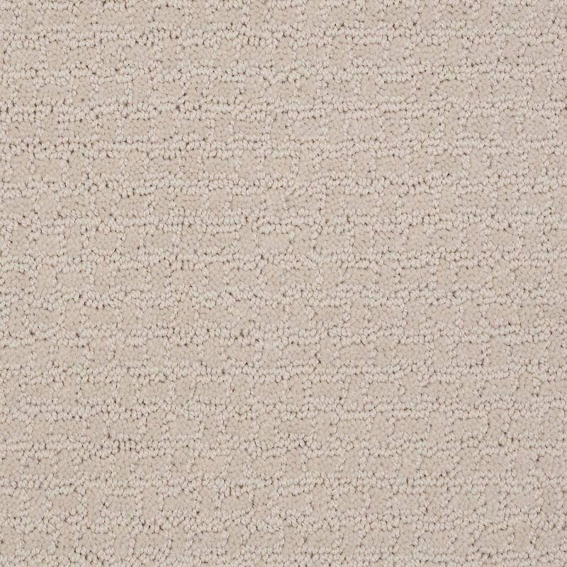 Shaw Floors Nfa/Apg World View Canvas