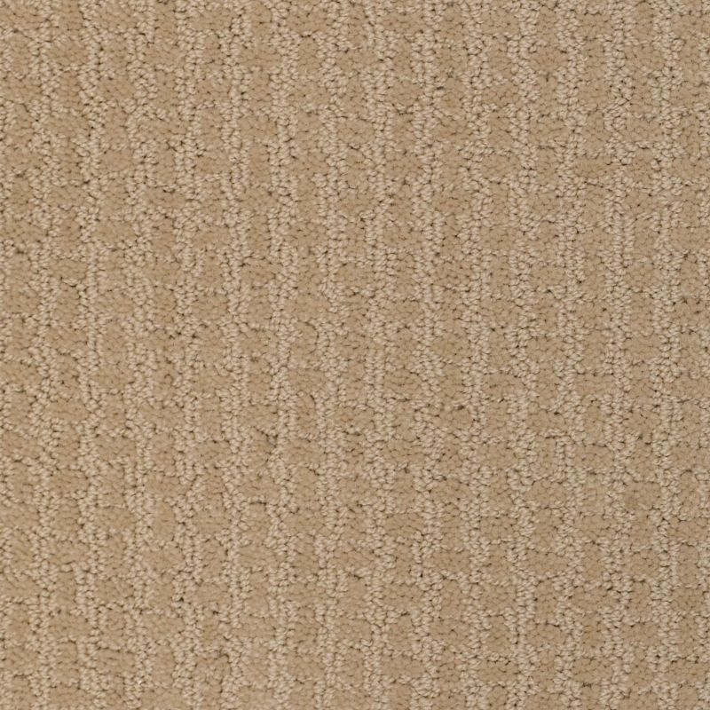 Shaw Floors Nfa/Apg World View Fieldstone