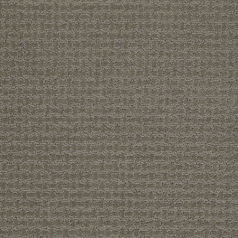 Shaw Floors Nfa/Apg World View Pewter